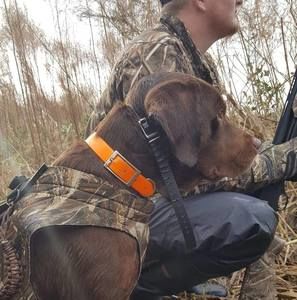 Meet your Posher, Markus